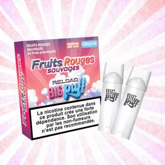 Recharge saveur Fruits Rouges Sauvages Big Puff Reload