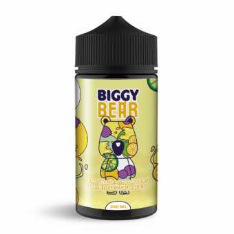 Limonade Citron Vert Myrtilles Sauvages Light Edition 200ml