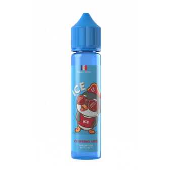 E liquide Ice Spring Break format 50 ml Bobble Liquide