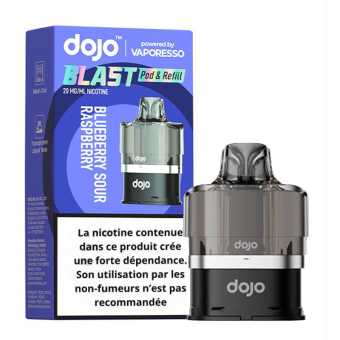 Cartouche Blueberry Ice Dojo Blast 6000