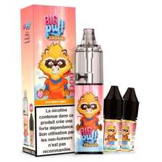 Big Puff 15000 Pêche Mangue Ananas