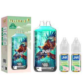 Puff Mangue Fruit de la Passion Falcon-X 28000 JNR