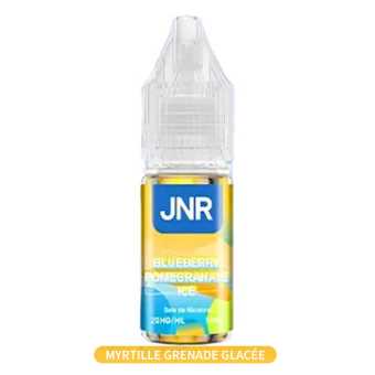 Blueberry Pomegranate Ice 10ml JNR