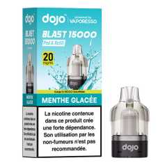 Cartouche Menthe Glacée Dojo Blast 15000