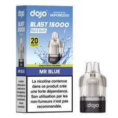 Cartouche Mr Blue Dojo Blast 15000