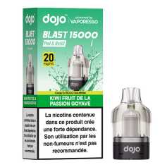Cartouche Kiwi Fruit de la Passion Goyave Dojo Blast 15000