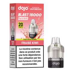 Cartouche Fraise Kiwi Dojo Blast 15000