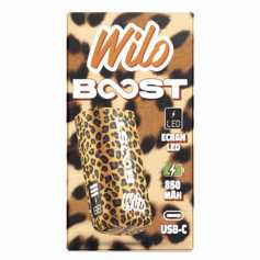 Batterie Wilo Boost