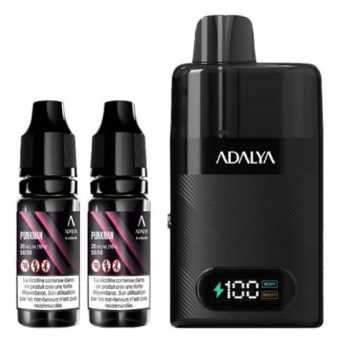 Punkman Levo 30K