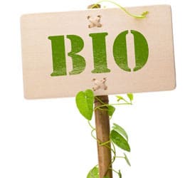 bio