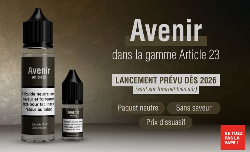 Article 23 Avenir