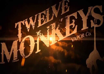 Twelve Monkeys Twelve Monkeys