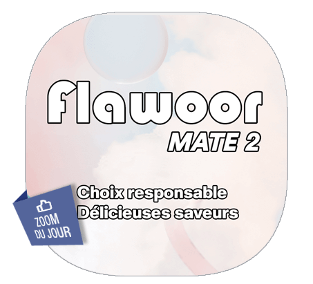 Zoom sur la Flawoor Mate 2